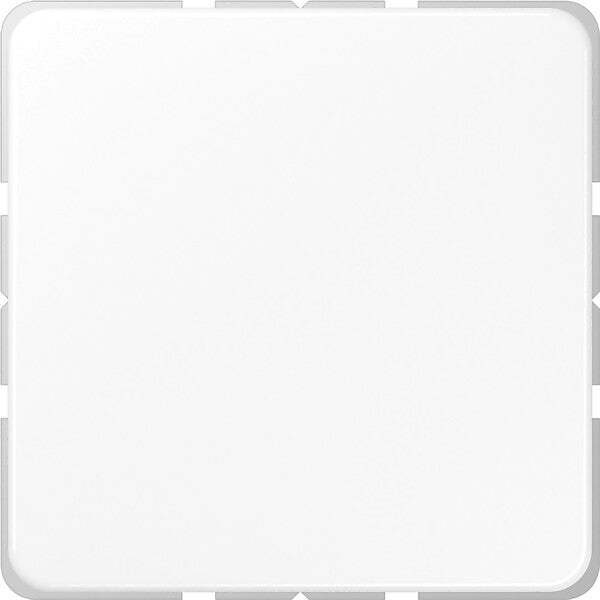 JUNG Blind-Abdeckung aws kompl.mit Tragring CD 594-0 WW